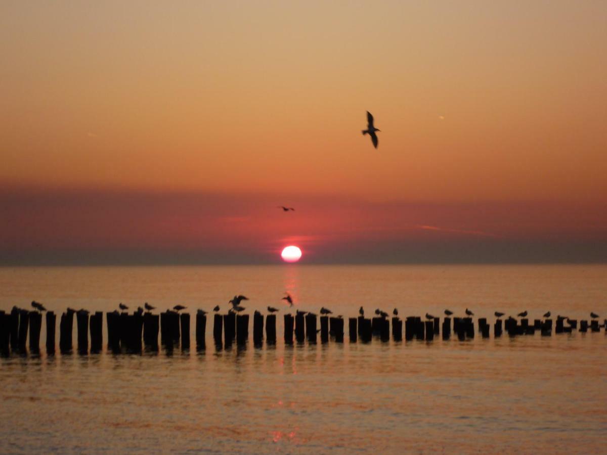 Vakantiehuis Zee, Bos & Duin Zoutelande Zo01 Exteriör bild